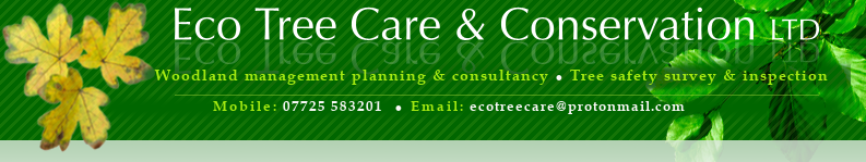 Eco Tree Care & Conservation Ltd